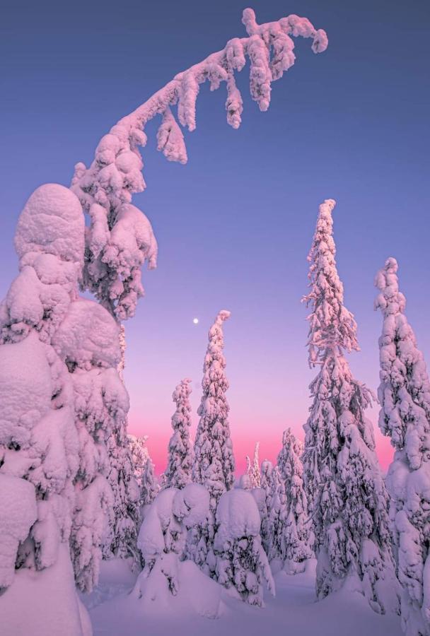 Blue River Rovaniemi Buitenkant foto